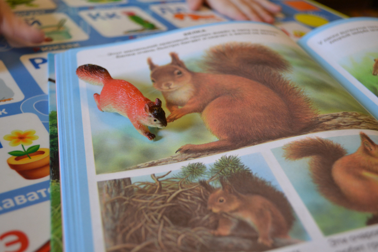 Наши животные