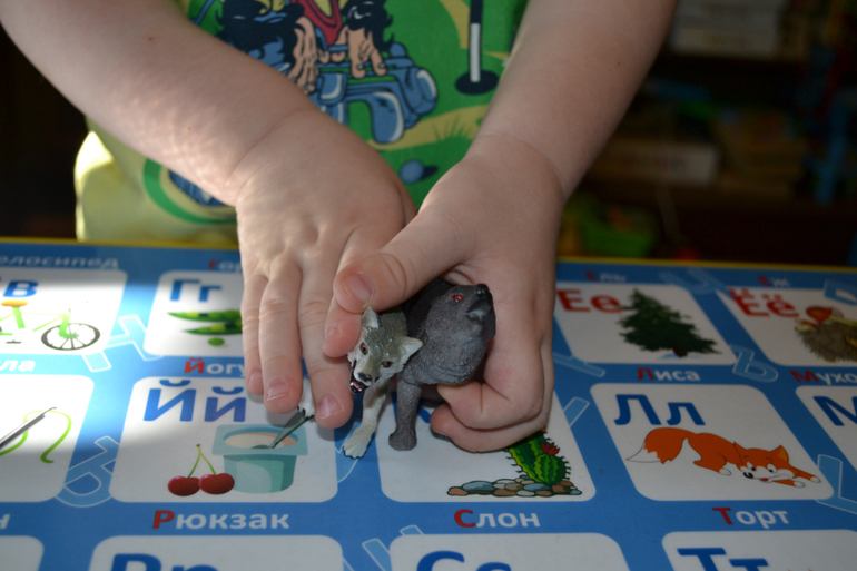 Наши животные