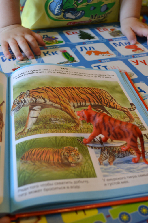 Наши животные