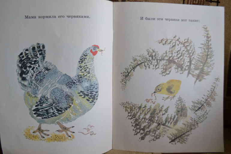 Наш букинистический клад)