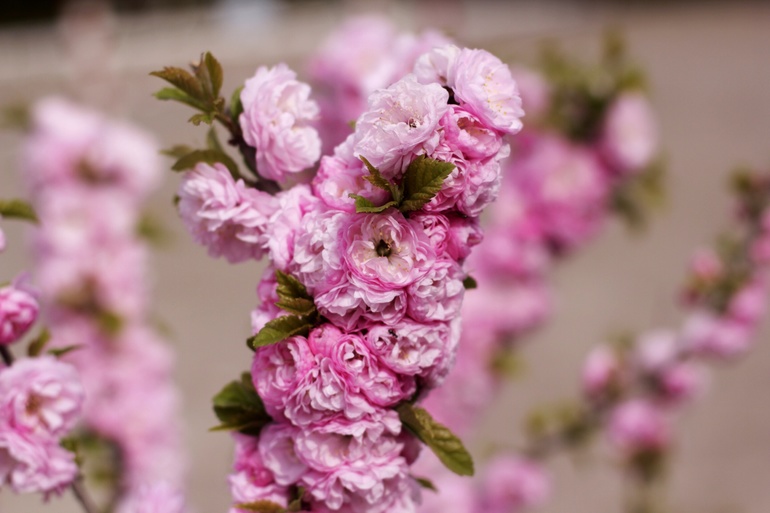 Весеннее настроение!!!