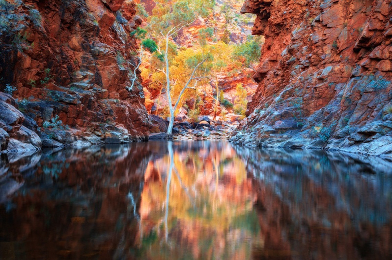 Лучшие фотографии марта