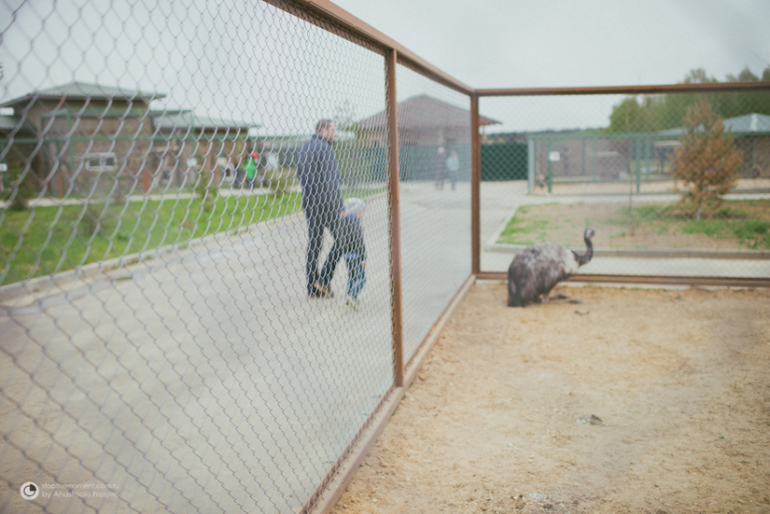 Экзотик парк на Калужском шоссе