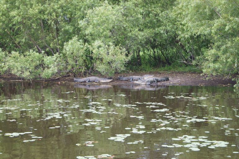 Наше первое путешествие в США