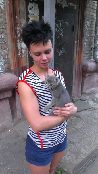 Взяли котенка