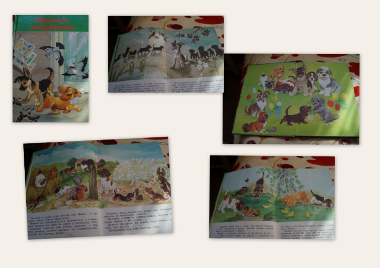 Читательский дневник  с 25 сентября - 3 октября.