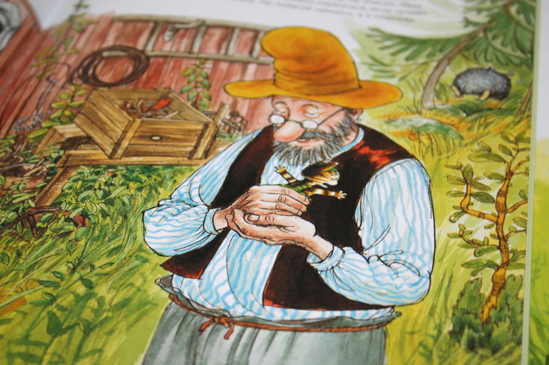 Финдусомания или добрые истории про милого котенка.