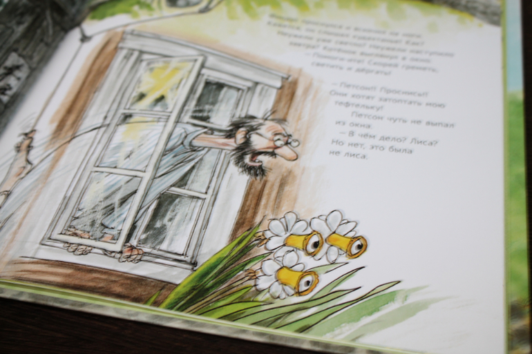 Финдусомания или добрые истории про милого котенка.