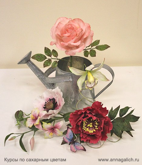 Кусры по сахарным цветам г.Иркутск. 5 - 7 апреля.