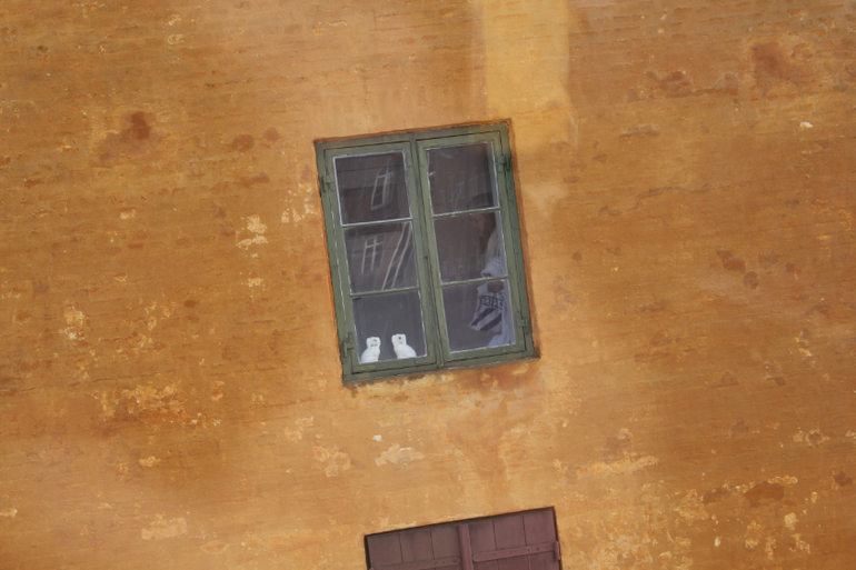 Один день в Копенгагене!