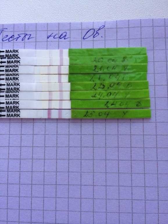 Полоска сегодня..