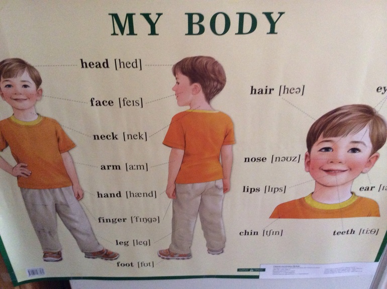 Наглядные материалы (плакаты) в нашей жизни.