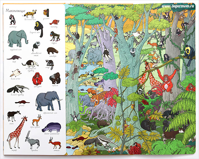 Наше энциклопедическое, книжное