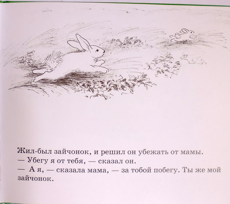 Все о кролике Питере и другие наши зайцы-иностранцы