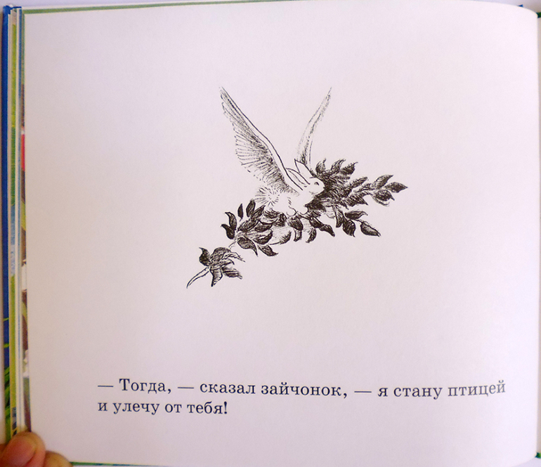 Все о кролике Питере и другие наши зайцы-иностранцы