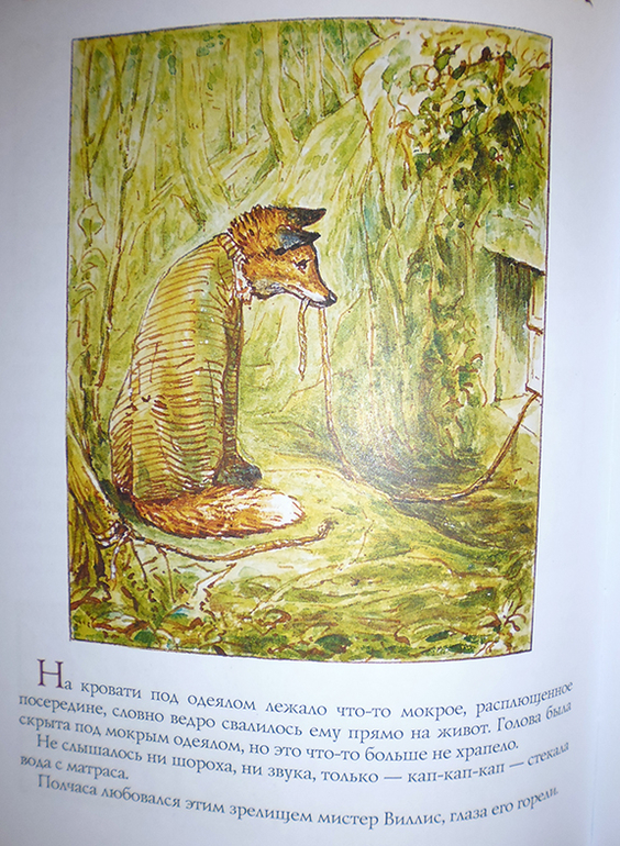 Все о кролике Питере и другие наши зайцы-иностранцы