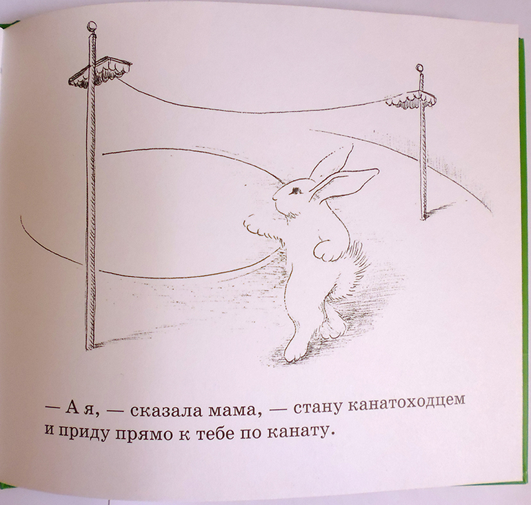 Все о кролике Питере и другие наши зайцы-иностранцы