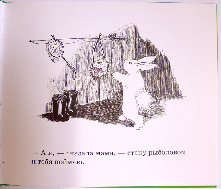 Все о кролике Питере и другие наши зайцы-иностранцы