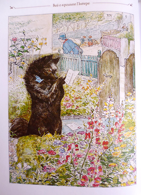 Все о кролике Питере и другие наши зайцы-иностранцы