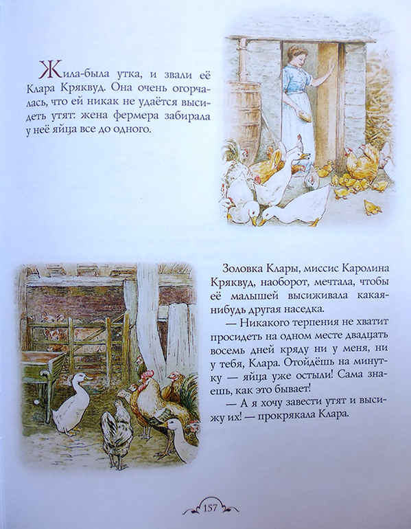 Все о кролике Питере и другие наши зайцы-иностранцы