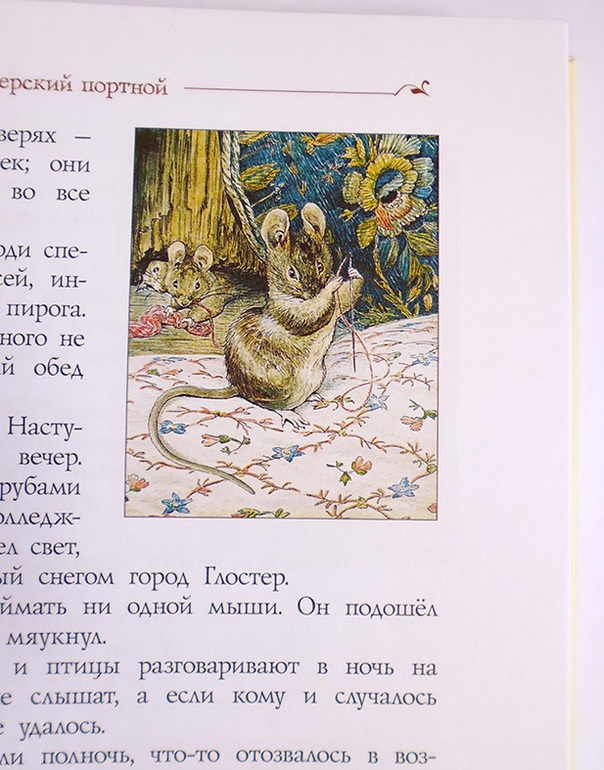 Все о кролике Питере и другие наши зайцы-иностранцы