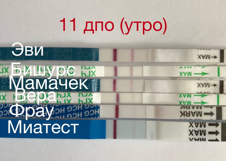 Тест на беременность на 9 день после зачатия