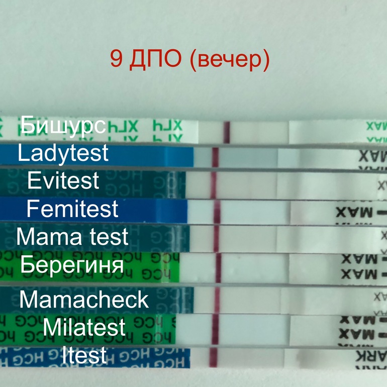 Тесты На Беременность После Овуляции Фото