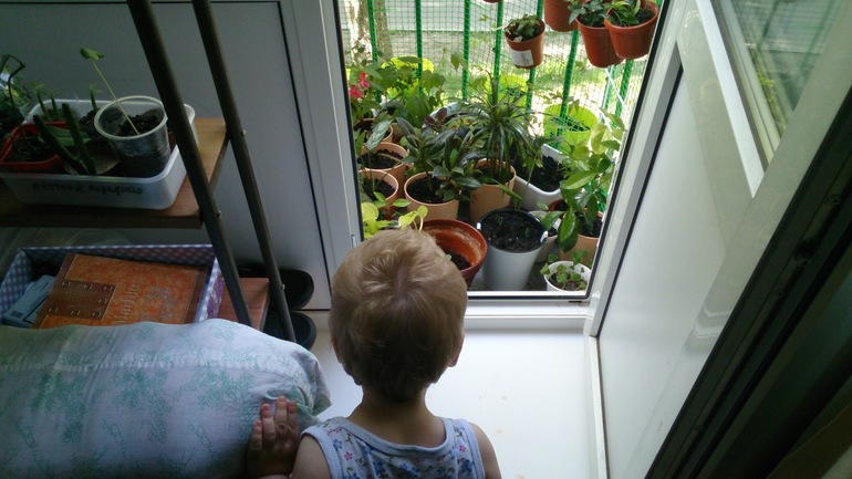 Мой ботанический сад.