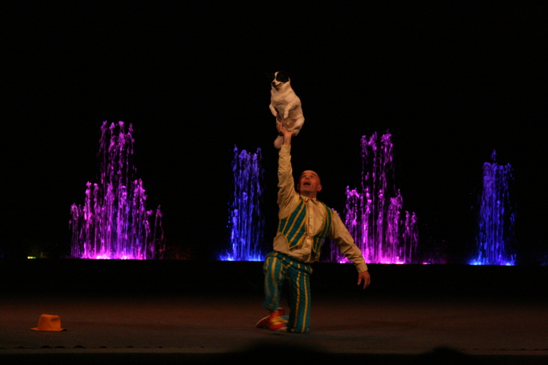 Как мы сходили с цирк Аквамарин!