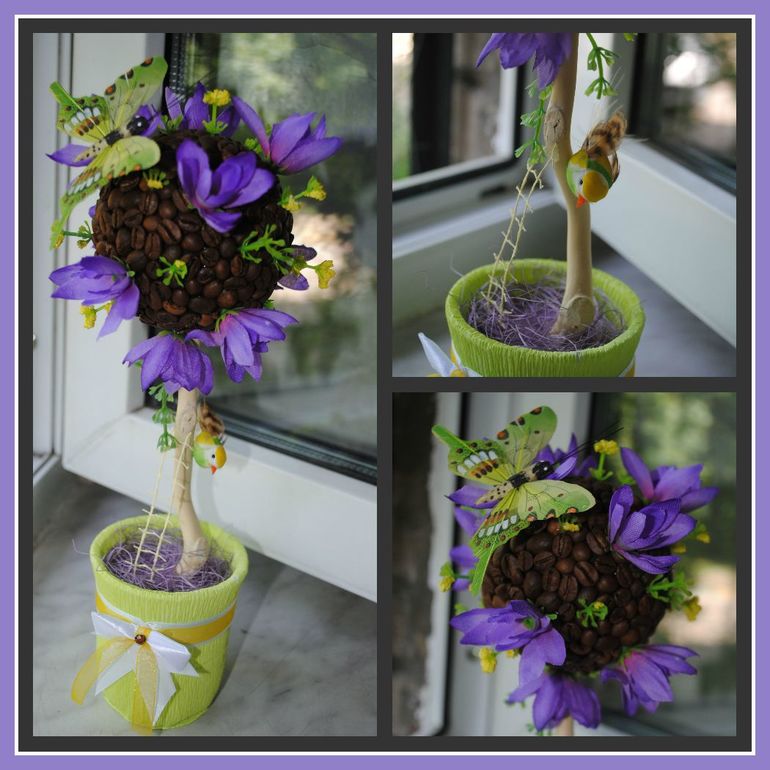 Кофейные деревья.