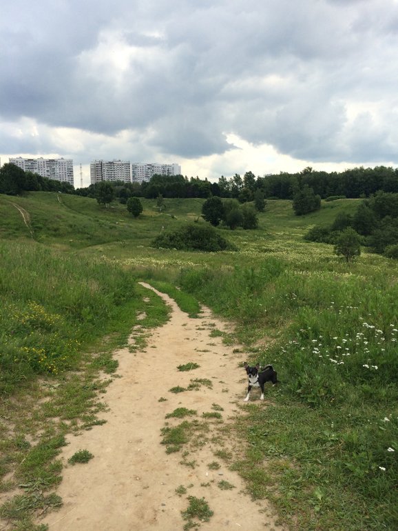 Парк Царицыно ЖДЕТ НАС!!!