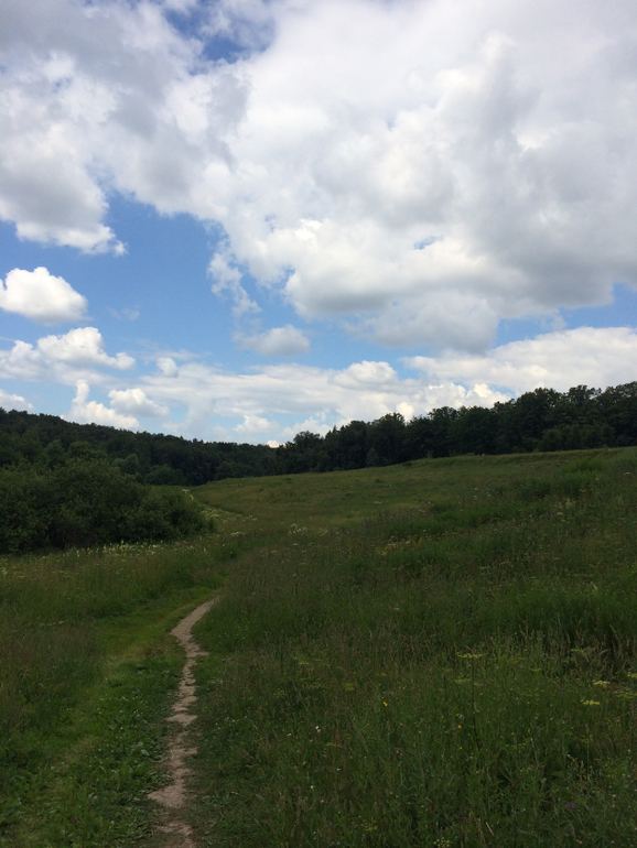 Парк Царицыно ЖДЕТ НАС!!!