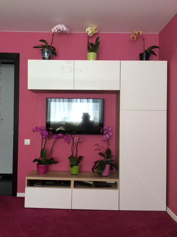 Мои питомцы