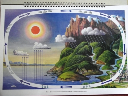 Добро пожаловать в экологию!