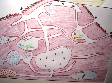 Тематическая неделька о насекомых и прочей мелюзге))