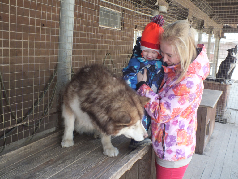 Прогулки с динозаврами) очень много фото
