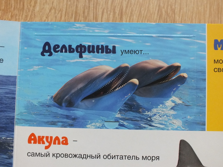 Пополнение библиотеки. Часть 4. Познавательная