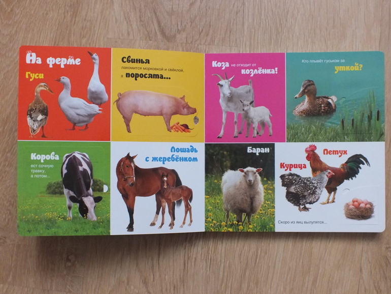 Пополнение библиотеки. Часть 4. Познавательная