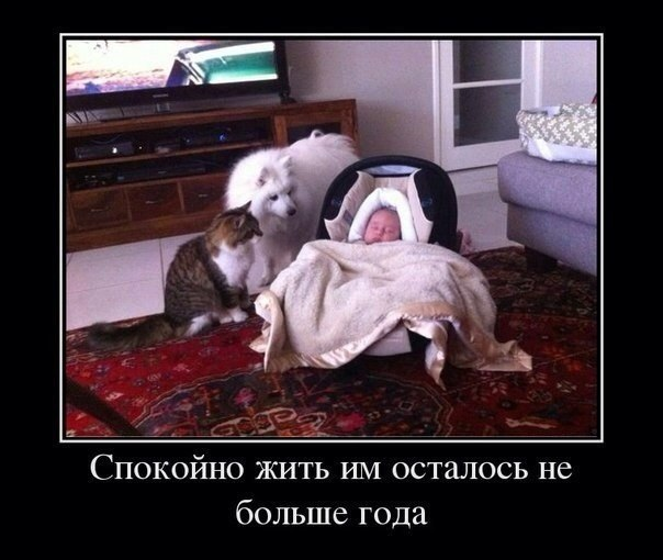 просто картинки.
