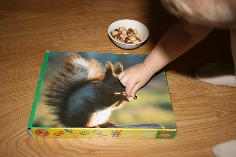 Кормим белочку