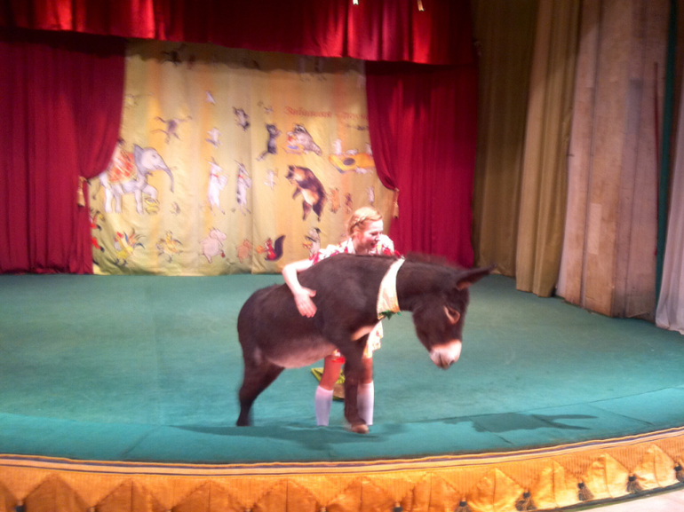 В гостях у дедушки Дурова ( большая сцена)