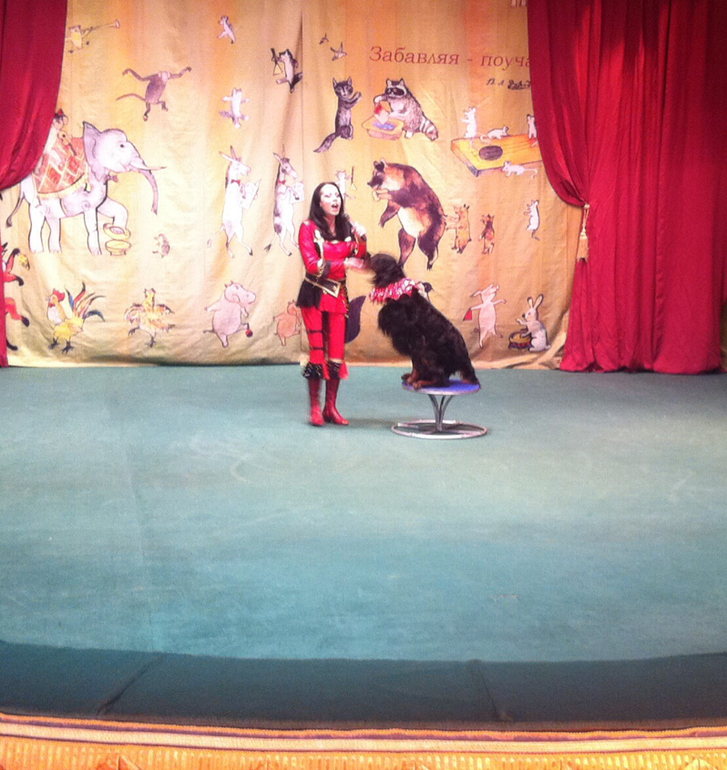 В гостях у дедушки Дурова ( большая сцена)