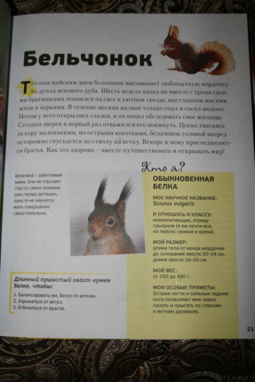 Белки..... белки.....