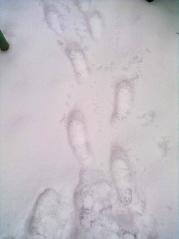 Еще фото с прогулок))