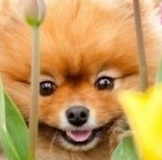 Встречи, почта, курьер, самовывоз