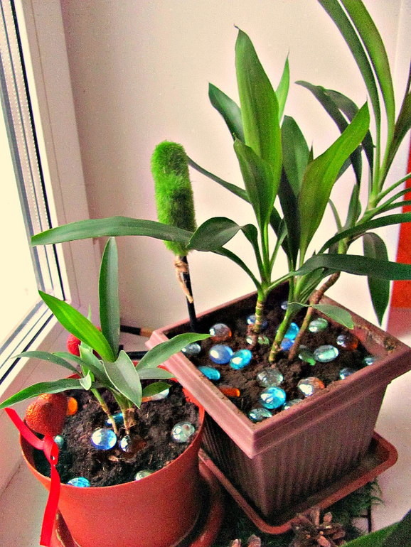 Мой Маленький Уголочек Лета!!!