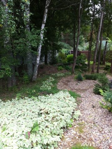 Продам дачу 7 млн.