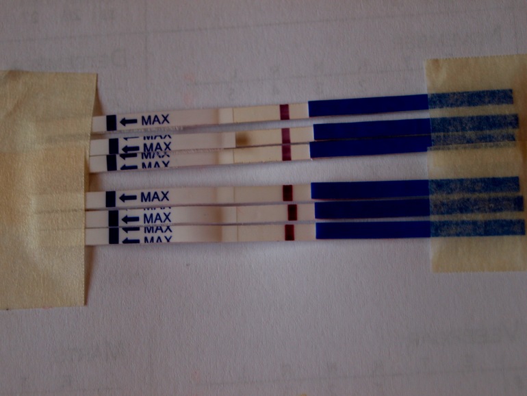 Тесты-утром..