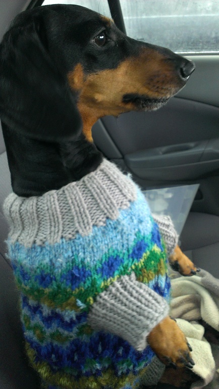 Наша любимица!