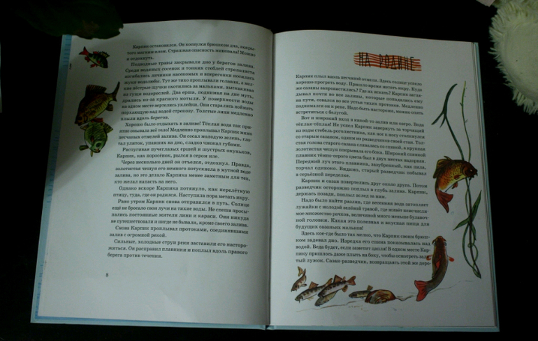 Приключение карпика